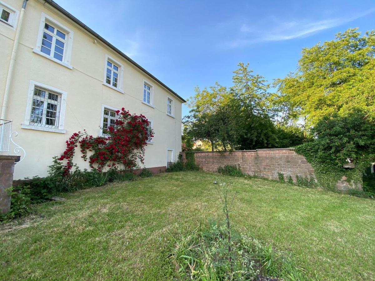 Schloss Hainfeld Eksteriør bilde